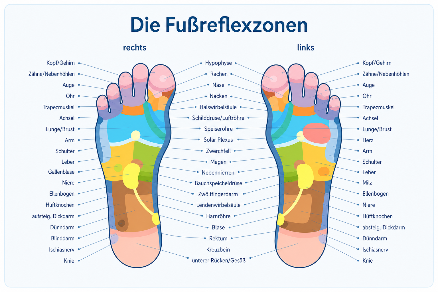 Moderne Übersicht traditioneller Fußreflexzonen